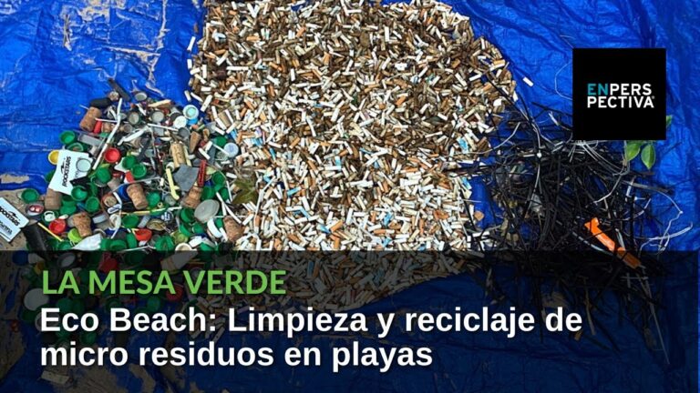 Empresas de Limpieza en Rota: Opciones y Servicios