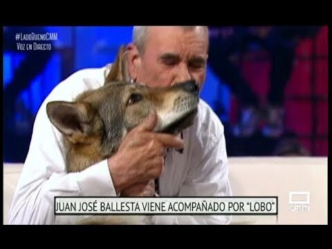 Guía para Actuar ante un Coche Abandonado en Arcos de la Frontera