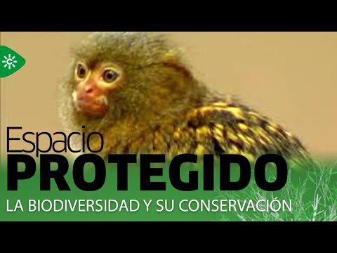 Zonas de Picnic en Trebujena: Descubre los Mejores Espacios