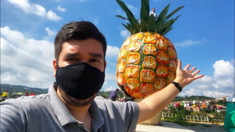 Descubre los Imperdibles de Lebrija