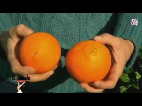 Talleres de Cocina en Trebujena: &iquest;D&oacute;nde Encontrarlos?