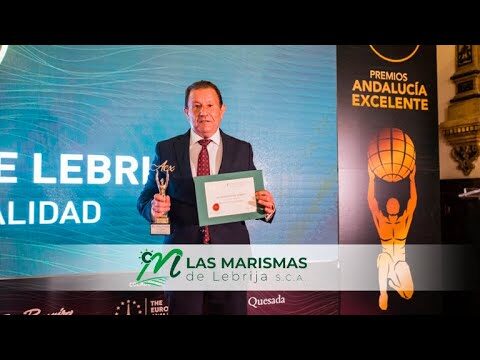 Calidad de Servicios en Lebrija: Un An&aacute;lisis Exhaustivo