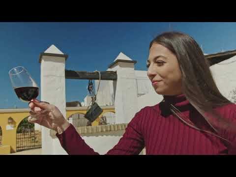 Rutas de Vinos cerca de Chipiona: Mejores Destinos