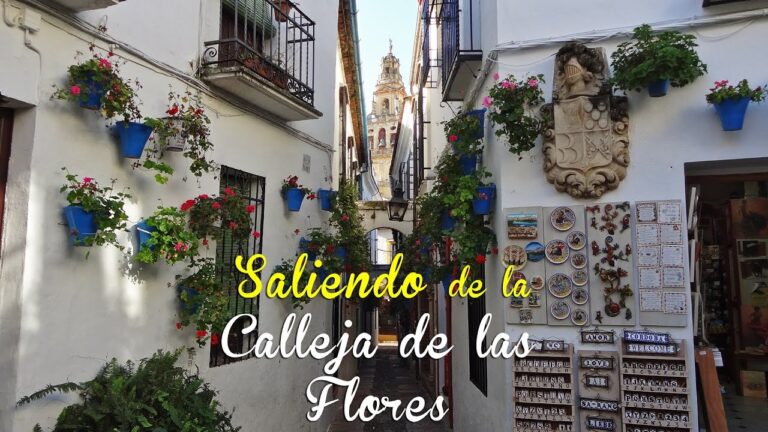 Tiendas de Artesanía Local en Arcos de la Frontera
