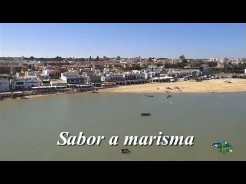 Lugares Ideales para Hacer Deporte en los Parques de Sanl&uacute;car de Barrameda